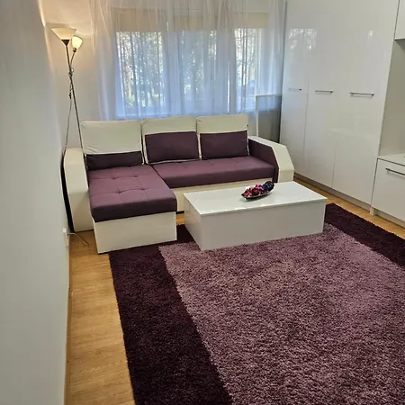 Criss Apartment Craiova
