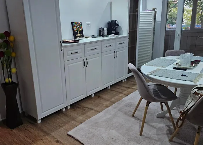 Lägenhet Criss Craiova